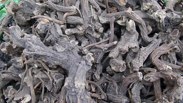 Dry Gentian Root