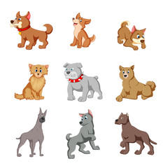 vector illustration of various cute dogs