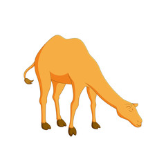 Vector illustration of a cartoon camel