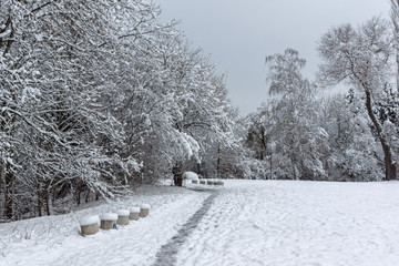 Amazing Winter Landscape with snow covered trees in South Park in city of Sofia, Bulgaria