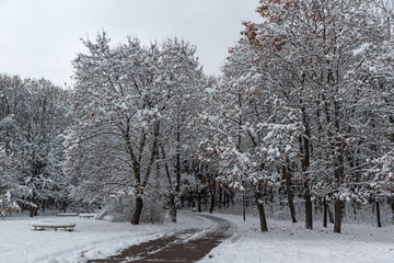 Amazing Winter Landscape with snow covered trees in South Park in city of Sofia, Bulgaria