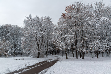 Amazing Winter Landscape with snow covered trees in South Park in city of Sofia, Bulgaria