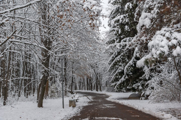 Amazing Winter Landscape with snow covered trees in South Park in city of Sofia, Bulgaria