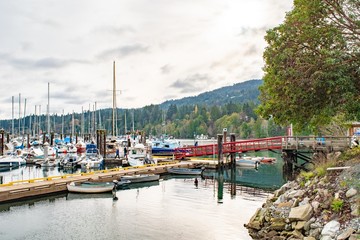 boats in harbor