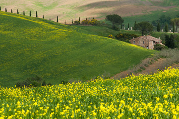 Obraz premium Landscape in Tuscany, Italy. Beautiful green field countryside