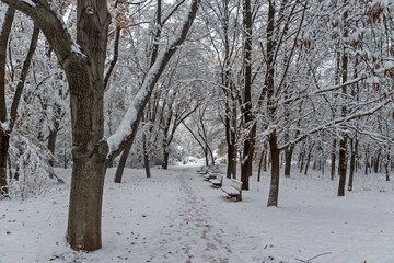 Amazing Winter Landscape with snow covered trees in South Park in city of Sofia, Bulgaria