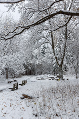 Amazing Winter Landscape with snow covered trees in South Park in city of Sofia, Bulgaria