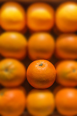 Closeup on one orange in the middle of box. Other fruits are not in focus (blurred)