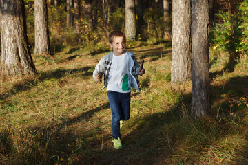 Boy in a plaid shirt, white t-shirt and blue jeans runs through the autumn pine forest.