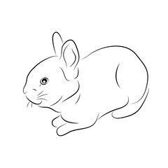 Vector illustration. Sketch of a small rabbit