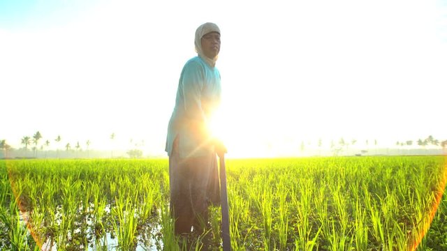 Manual female worker with irrigation tool farming Indonesian rice fields Java 