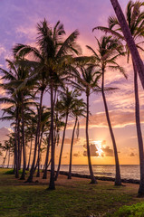 Obraz na płótnie Canvas Tropical sunset with palm trees in Kauai, Hawaii, USA