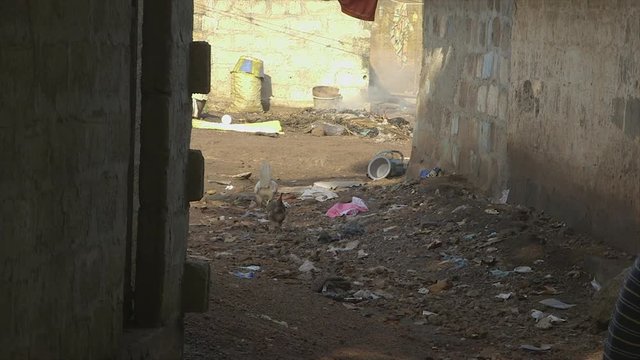 Close up still sunny day shot of a slum dwelling ground compound, dusty, untidy, scattered litters, wastes, plastic papers, between two dirty concrete walled houses, hens scratching through for