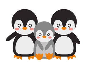 cute family penguins animals cartoon