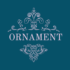 Vintage flourish ornament illustration