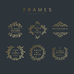 Set of botanical frame design elements vector