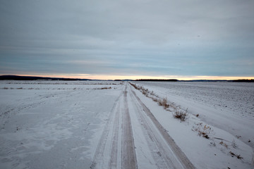 Fototapeta na wymiar Agricultural land in winter