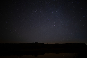 Fototapeta na wymiar Starry sky, night, forest, the Milky Way