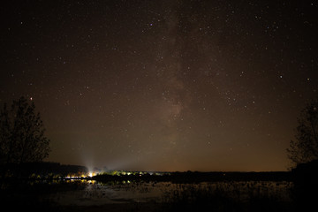 Fototapeta premium Starry sky, night, forest, the Milky Way