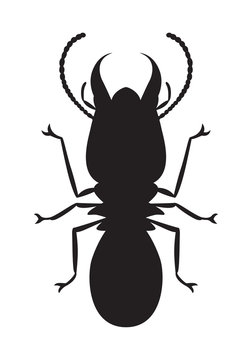 graphic termite, vector