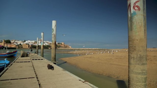 a view of the little port of Oudaya in rabat with a seagull passing
