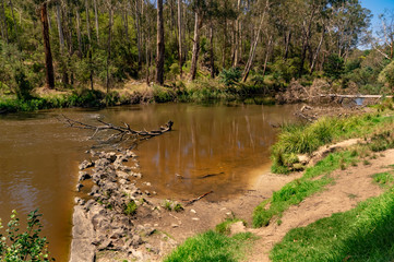 River of Snags 