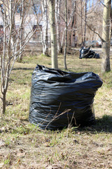 garbage bags spring clean-up