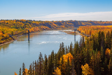 Suspension bridge for pedestrians and bicycles over the North Saskatchewan River in Edmonton Alberta Canada, on a fall day. - obrazy, fototapety, plakaty
