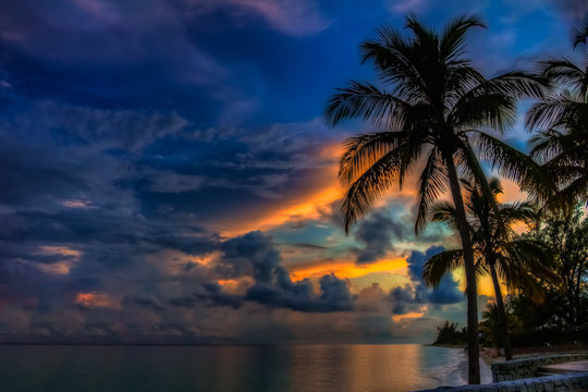 Colorful Sunset in the Bahamas with a palm tree in the foreground