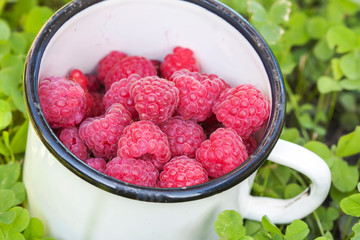 Fresh raspberries in a bowl close-up on the grass