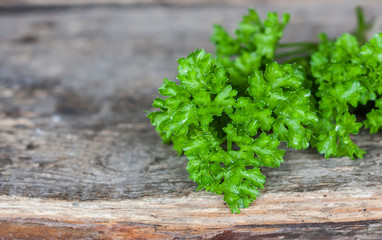 Fresh parsley on wood background.