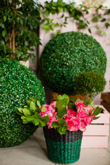 wedding ceremony decorations, flowers