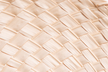 Texture of dry fan palm, Licuala paludosa or Licuala sqinosa, leaf weave into the fan.