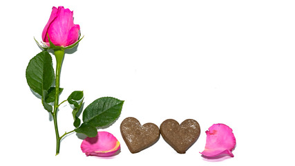 Chocolate and rose roses on a white background.