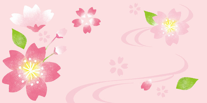桜　背景イラスト