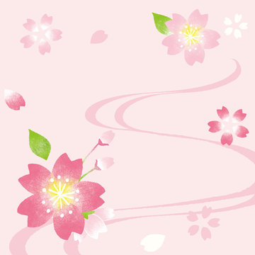 桜　背景イラスト