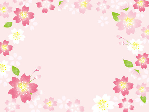 桜　フレームイラスト