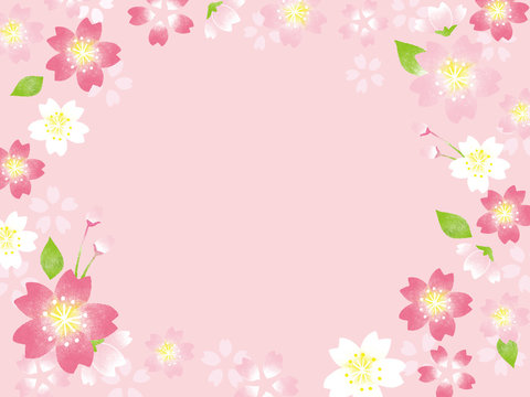 桜　フレームイラスト