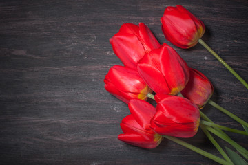 Red tulips on a dark wood background