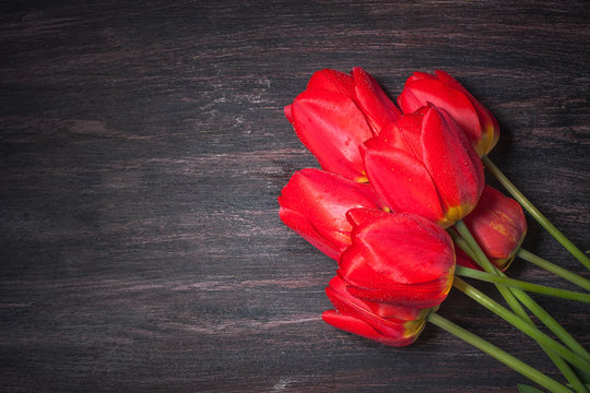Red tulips on a dark wood background