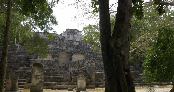Mayan ruins amidst Calakmul forest