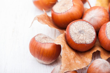 hazelnuts and autumn leaves