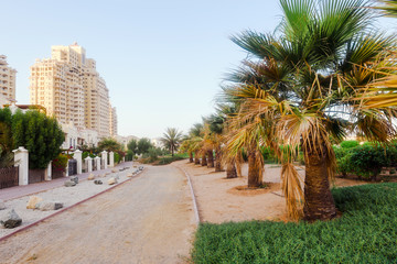 Fototapeta premium September 12, 2017 - Al Hamra Village in Ras al Khaimah, United Arab Emirates. Modern arabian district area street with apartment buildings, palms and hotels near Persian gulf.