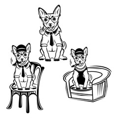 Chihuahua dog with cigar logo