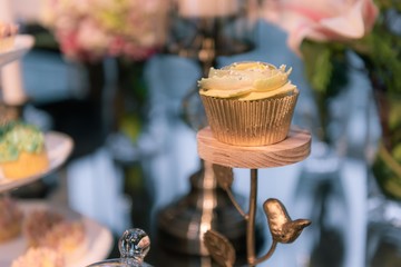 Romantic Soft Cupcake