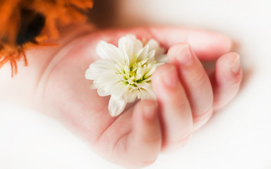 Obraz na płótnie Canvas hand with flower of a sleeping newborn baby close up isolated background