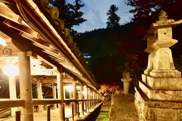 寺の門の夜景と紅葉