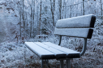 Frostbitten bench in forest
