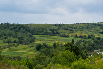 Fototapeta na wymiar panorama of countryside in tuscany