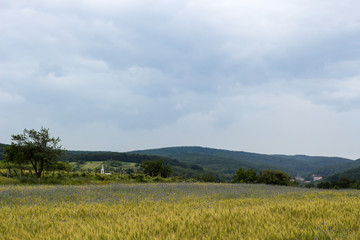 Fototapeta premium cloudy landscape